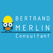 Bertrand Merlin Consultant
